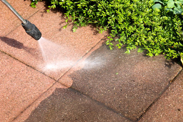 Best Roof Pressure Washing  in Bellemont, AZ