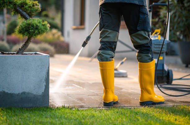 Best Deck Cleaning Services  in Bellemont, AZ